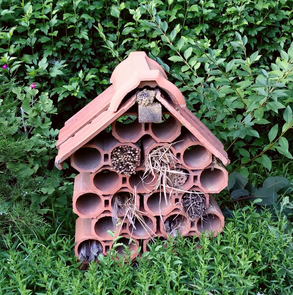 Raise local biodiversity – make an insect hotel - Grow a Green